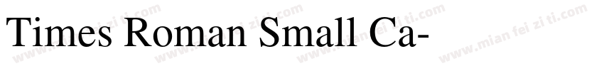 Times Roman Small Ca字体转换